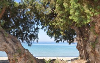 Aegiali Beach Amorgos Cyclades